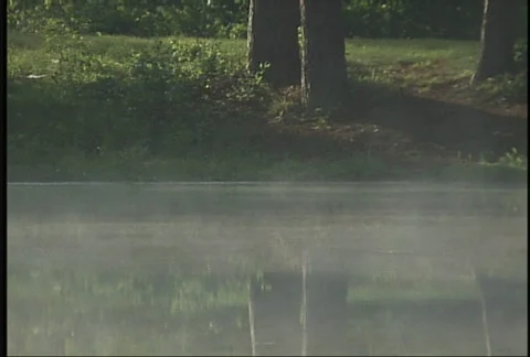 Lake Mist Stock-Footage 83037