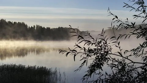 Lake mist Stock Footage 286217839