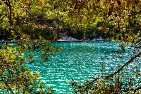 The lake of mljet framed with a tree Stock Photos