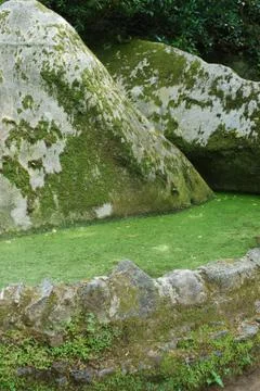 Lake with moss Stock Photos