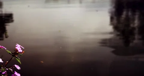 Lake on the mountain Video stock 199945008