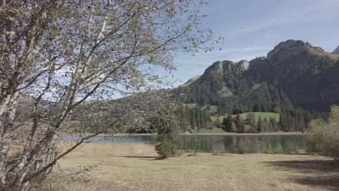 Lake in the mountain Stock Footage 231252441