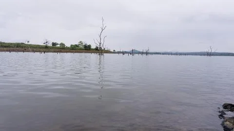 Lake in a Mountainous area with greenery partially covered by clouds Stock Photos