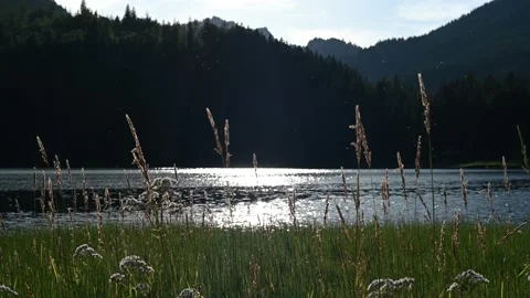 A lake in the mountains in the evening  Video stock 217379741