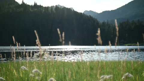 A lake in the mountains in the evening  Video stock 217379936