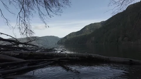 Lake in the mountains 動画素材 310245051