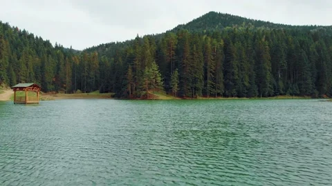 Lake in the mountains forest Vídeos de archivo 193959784