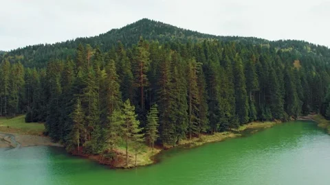 Lake in the mountains forest Vídeos de archivo 193961196