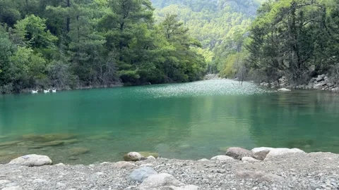 Lake in the mountains, mountain river, flow of water Stock Footage 307652510