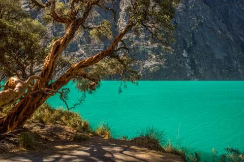 Lake in the mountains Stock Photos