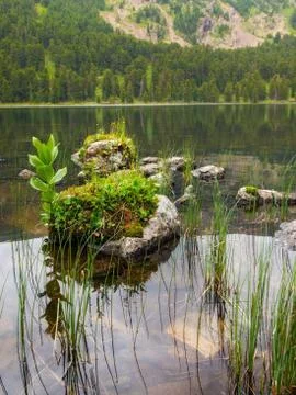 Lake in the mountains Stock Photos