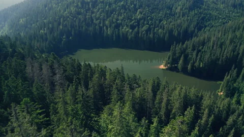 Lake mountains tree nature pine beautiful landscape summer Stock Footage 158399725