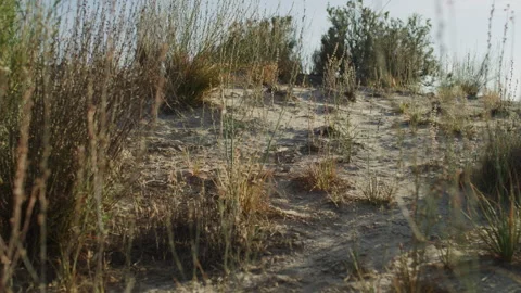 Lake Mungo Stock Footage 291762930