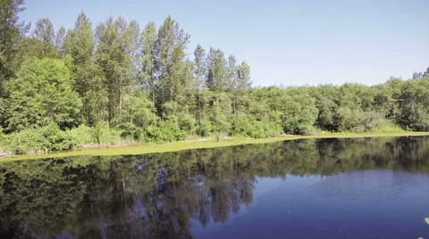 Lake nature Stock Footage 40069005