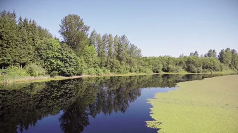 Lake nature Stock Footage 40069192