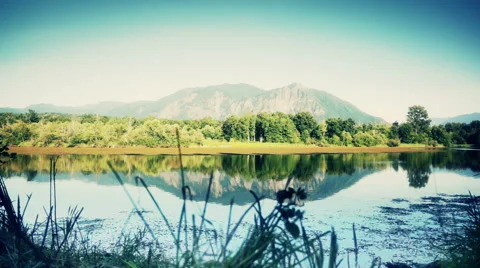 Lake nature Stock Footage 40751493