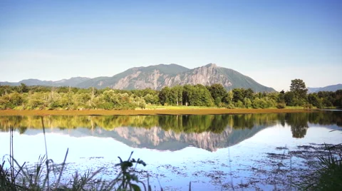 Lake nature Stock Footage 40751545