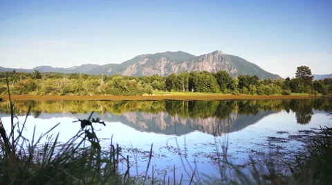 Lake nature Stock Footage 40751666