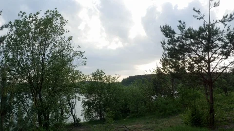 Lake nature pine tree 4k Stock Footage 89735343