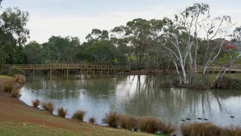 Lake at Navan Park in Melton, Melbourne, pedestrian bridge spanning the water Vídeos de archivo 336034603