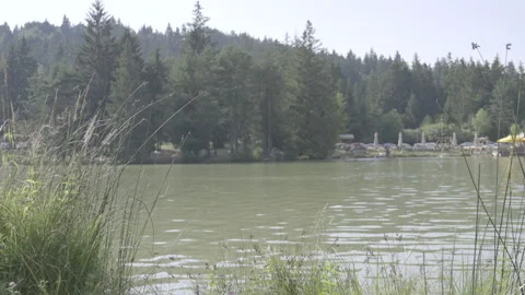 By a lake on a nice day in summer Stock Footage 160141100