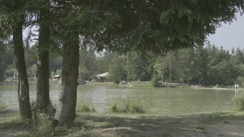By a lake on a nice summer day Stock Footage 160141421