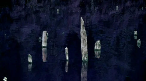 Lake night time Видео 653123