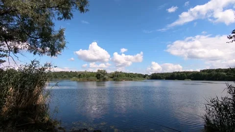 Lake in the ninth forest. Stock Footage 136670468