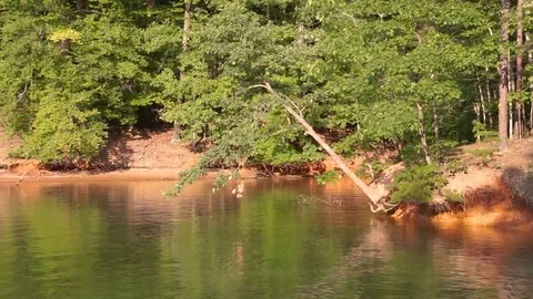 Lake Norman Stock Footage 78610396