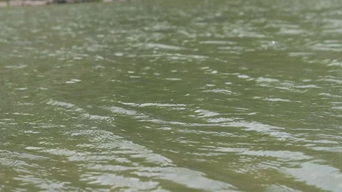 Lake or river with small waves, ripples on the water Stock Footage 312231033