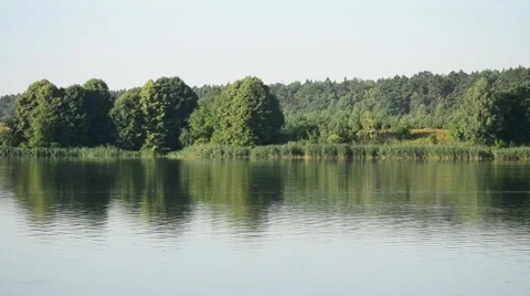 Lake or river in summer with reflections of trees in water Stock Footage 55319757