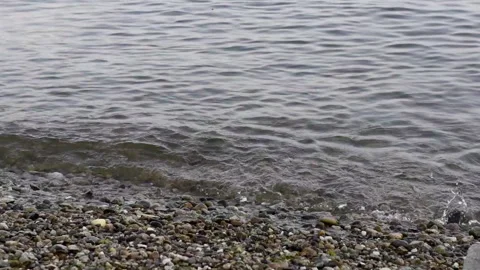 Lake Osoyoos Waves Stock Footage 285113950