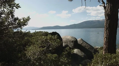 Lake Overlook from Trees Stock Footage 46217065