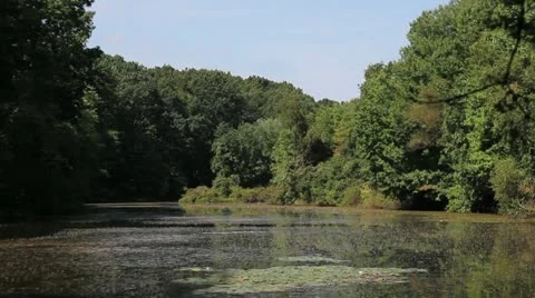 Lake Pan back and forth 库存影片 12111932