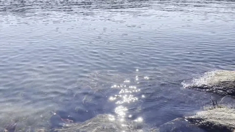 Lake pan with ripples Video stock 151432841