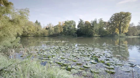 Lake Pan Shot Video stock 36051681