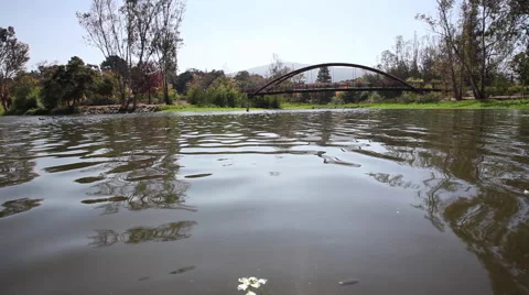 Lake Pan Shot Video stock 66389421