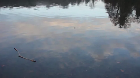 Lake - pan up - with sunrise reflection Video stock 33776249