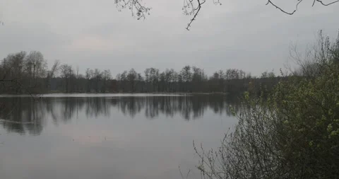 Lake panorama at cloudy cold day with first flowering plants at early spring  Stock Footage 267623188