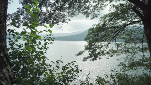 Lake panorama Stock Footage 276977947