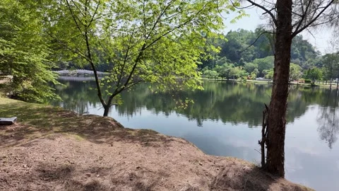Lake in a park in Asia Stock Footage 306402575