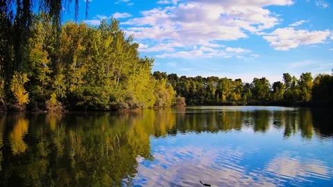 Lake Park Centennial DDO Video stock 101032129