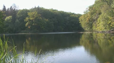Lake in the park Stock Footage 12329860