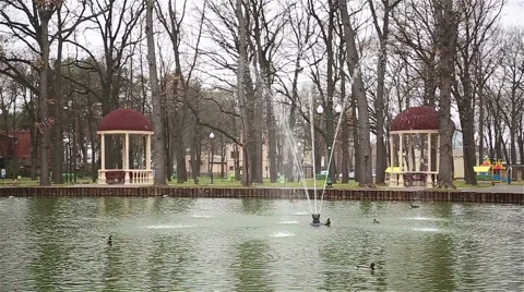 Lake in the park Stock Footage 47140042