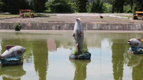 Lake In The Park Stock Footage 52209592