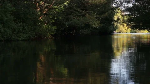 Lake in park Stock Footage 75838500