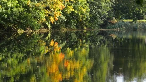 Lake in the park 库存影片 81492137