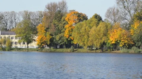 Lake in the park Vidéo 81492385