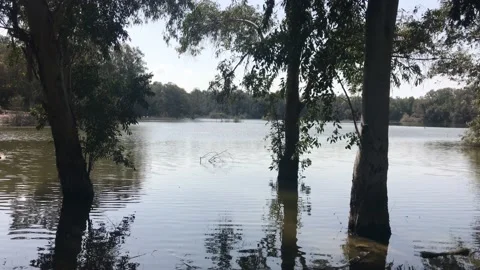 Lake At The Park Stock Footage 152184390