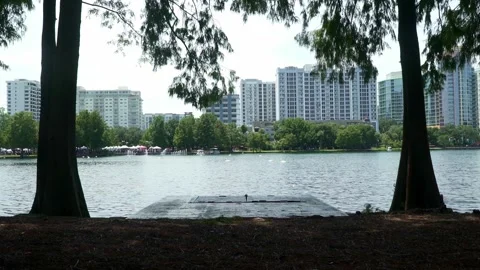 Lake in a park  Stock Footage 168475825